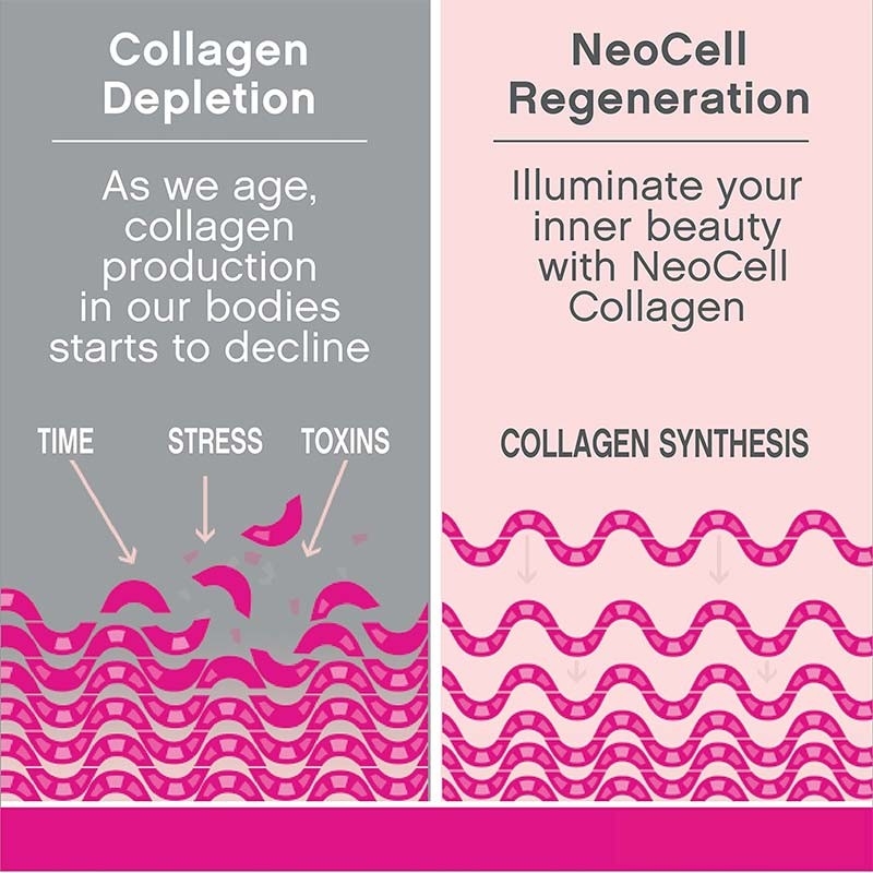 Le collagène complète les Tablettes organiques de vitamine C de soutien de peau et d'ongle de cheveux d'OEM