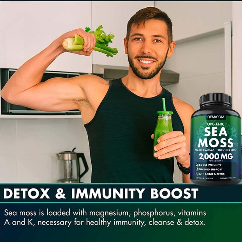 Mer organique Unflavored Moss Raw de Moss Capsules Wildcrafted Non GMO de mer 60 pilules libres de Seamoss de gluten