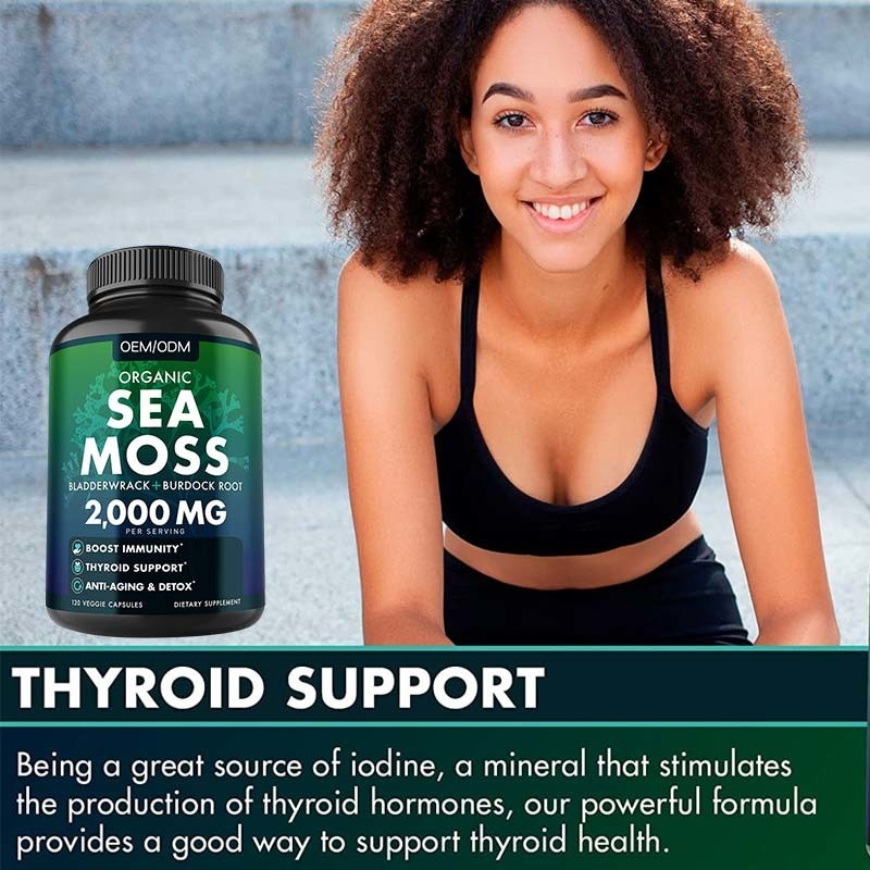 Mer organique Unflavored Moss Raw de Moss Capsules Wildcrafted Non GMO de mer 60 pilules libres de Seamoss de gluten