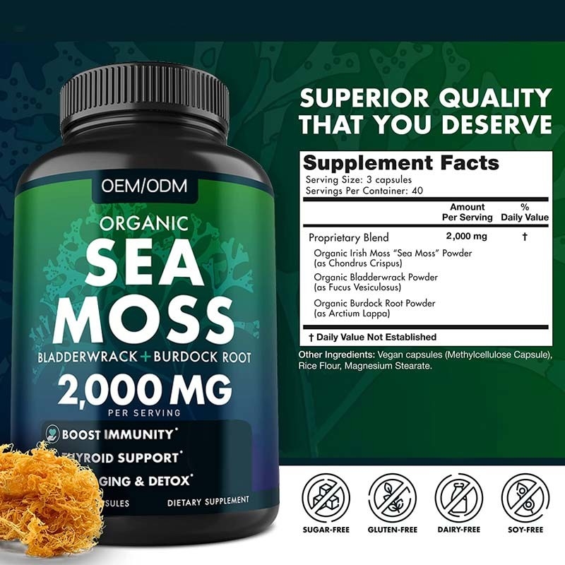 Mer organique Unflavored Moss Raw de Moss Capsules Wildcrafted Non GMO de mer 60 pilules libres de Seamoss de gluten