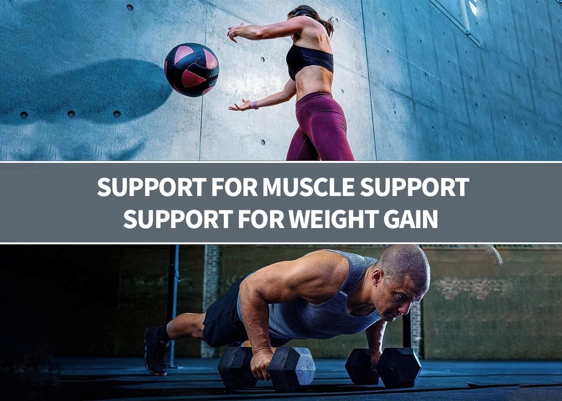 Poudre de protéines pour le soutien musculaire Poudre de protéines pour renforcer l' immunité