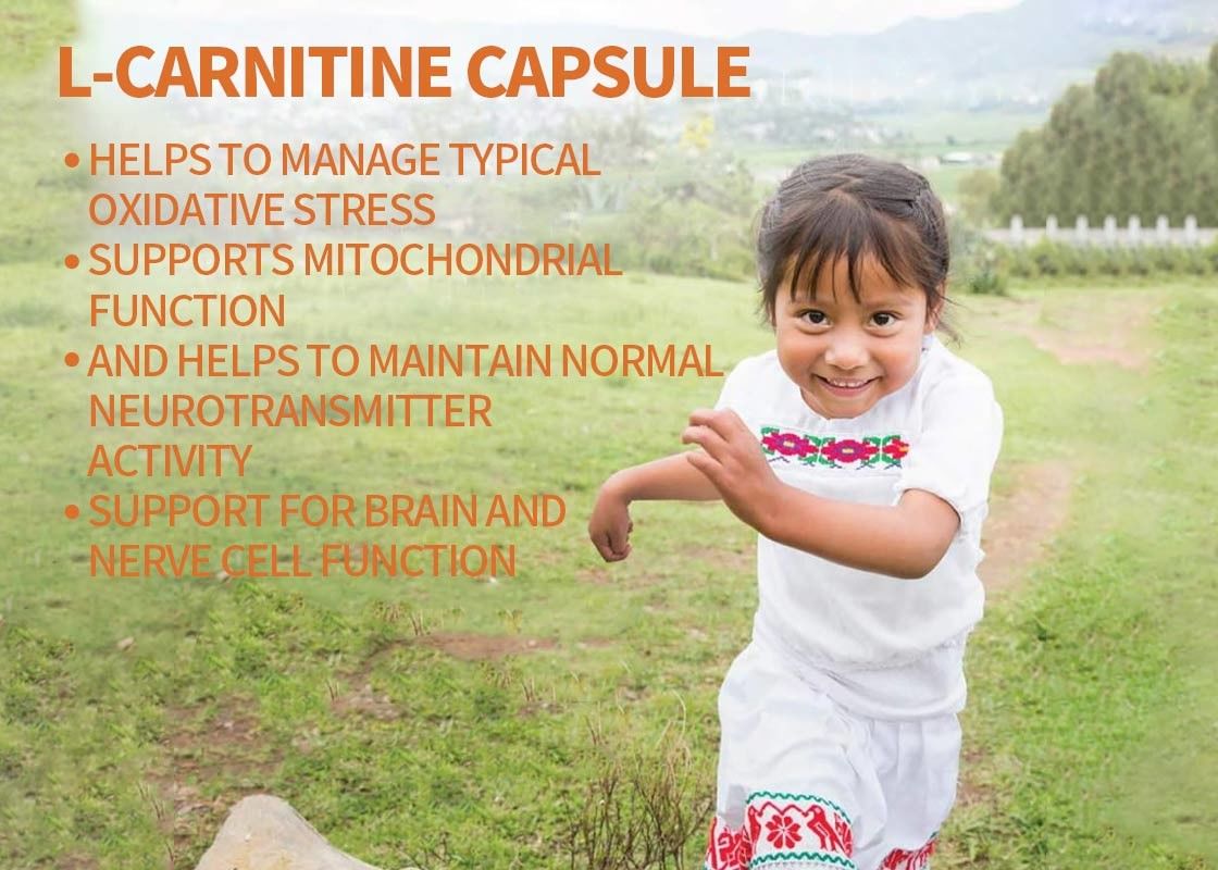 OEM L-Carnitine Capsule soutient le cerveau et la fonction des cellules nerveuses Capsules végétales soutient la mémoire et la concentration