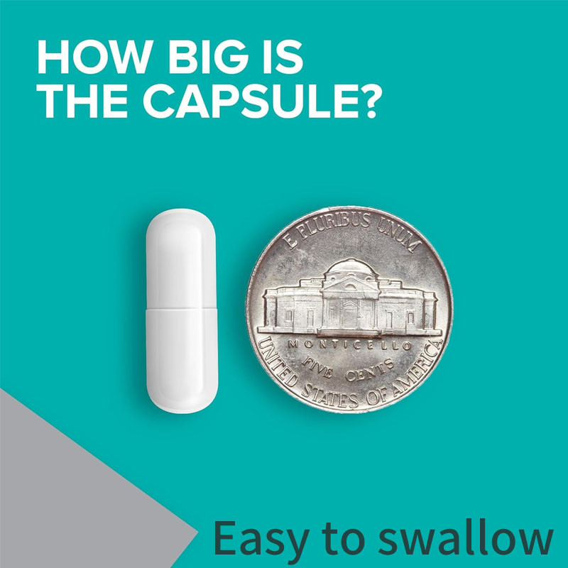 OEM Haute absorption Santé musculaire osseuse Magnésium alimentaire pour adultes Capsules de magnésium