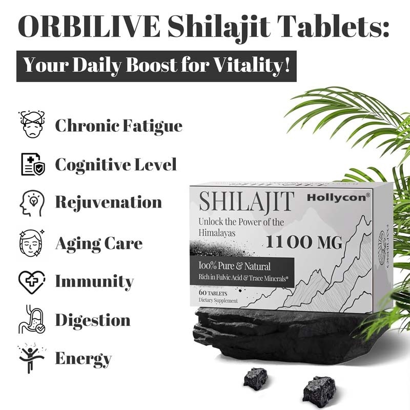 Shilajit Tablettes d' énergie de soutien immunitaire Shilajit organique pour les hommes et les femmes