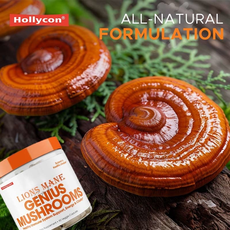 Supplément de champignons de fabricant Capsules de crinière de lion Aide le foie Rinier Soutien à la mémoire Immunité