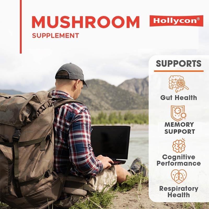 Supplément de champignons de fabricant Capsules de crinière de lion Aide le foie Rinier Soutien à la mémoire Immunité