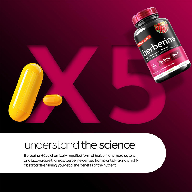 Capsules OEM de berbérine Berberine HCL Suppresseur d'appétit Supplément de perte de poids