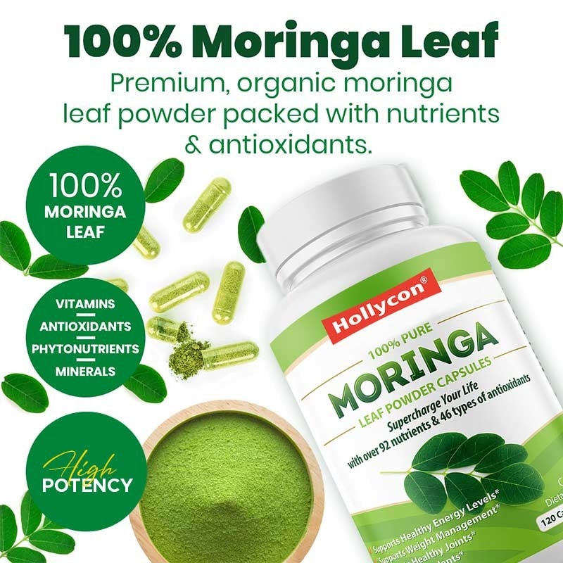 Capsules de moringa poudre de moringa organique feuille de moringa soutient le métabolisme énergétique usine immunitaire
