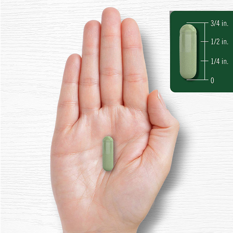 Poudre de Moringa Capsules pour le soutien des articulations