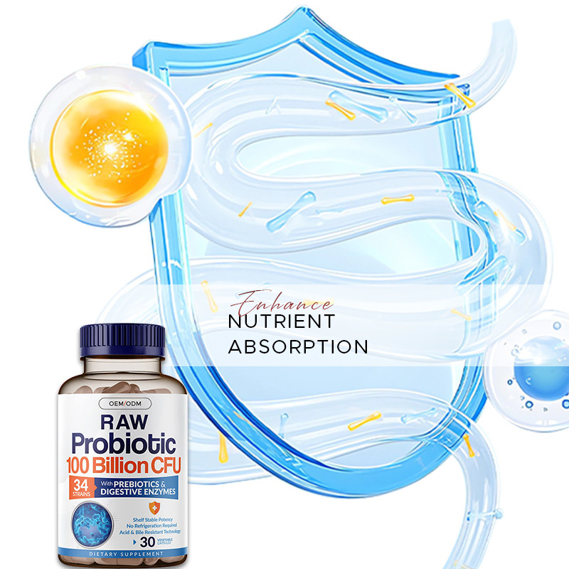 Probiotiques organiques Capsules dures pour renforcer le système immunitaire Complexe prébiotique organique