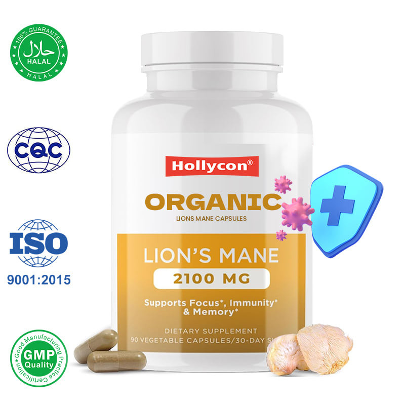 Capsules de crinière de lion personnalisées favorisent la concentration, la clarté mentale, la cognition, améliorent la santé intestinale.
