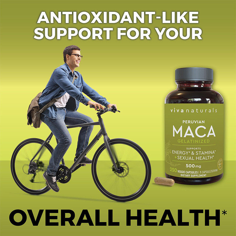 Capsules de racine de maca OEM pour hommes