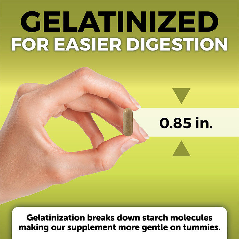 Capsules de racine de maca OEM pour hommes