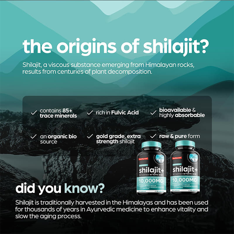 OEM Pure Shilajit de l'Himalaya 10000mg Capsules organiques de Shilajit pour le soutien immunitaire