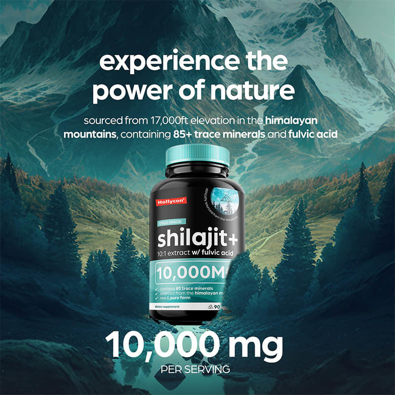 OEM Pure Shilajit de l'Himalaya 10000mg Capsules organiques de Shilajit pour le soutien immunitaire