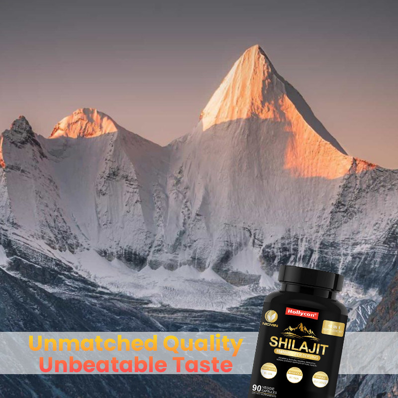 Supplément de Shilajit organique pur de l'Himalaya pour soutenir le système immunitaire 25000 mg de capsules de Shilajit