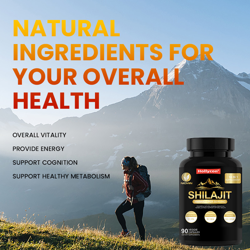 Supplément de Shilajit organique pur de l'Himalaya pour soutenir le système immunitaire 25000 mg de capsules de Shilajit