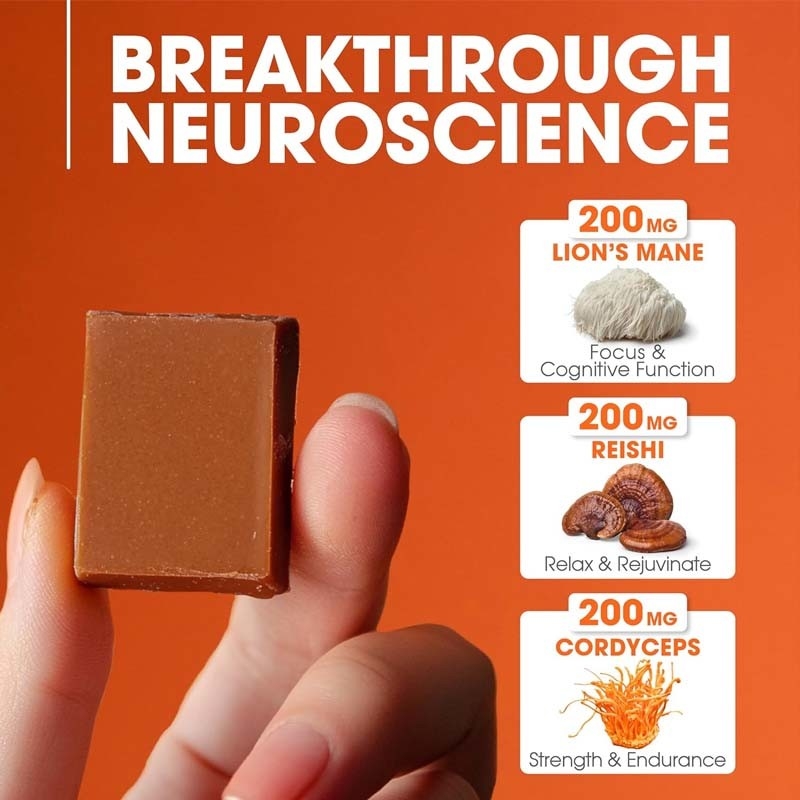 Plantes d'usine Cordyceps Nootropiques Champignons soutient l' énergie Focus Santé du cerveau Immunité Ganoderme Lucidum Champignon mâche doux
