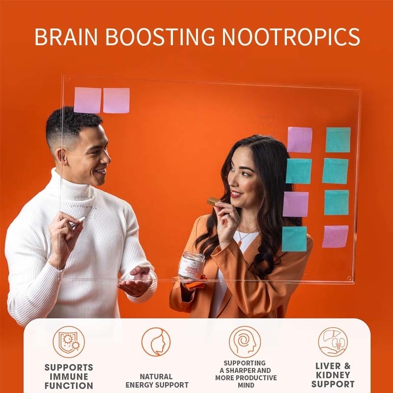 Plantes d'usine Cordyceps Nootropiques Champignons soutient l' énergie Focus Santé du cerveau Immunité Ganoderme Lucidum Champignon mâche doux