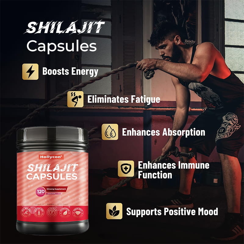 Capsules de Shilajit Vente à chaud Supplément de Shilajit organique pur de l' Himalaya pour les hommes Soutien immunitaire Augmentation de l' énergie