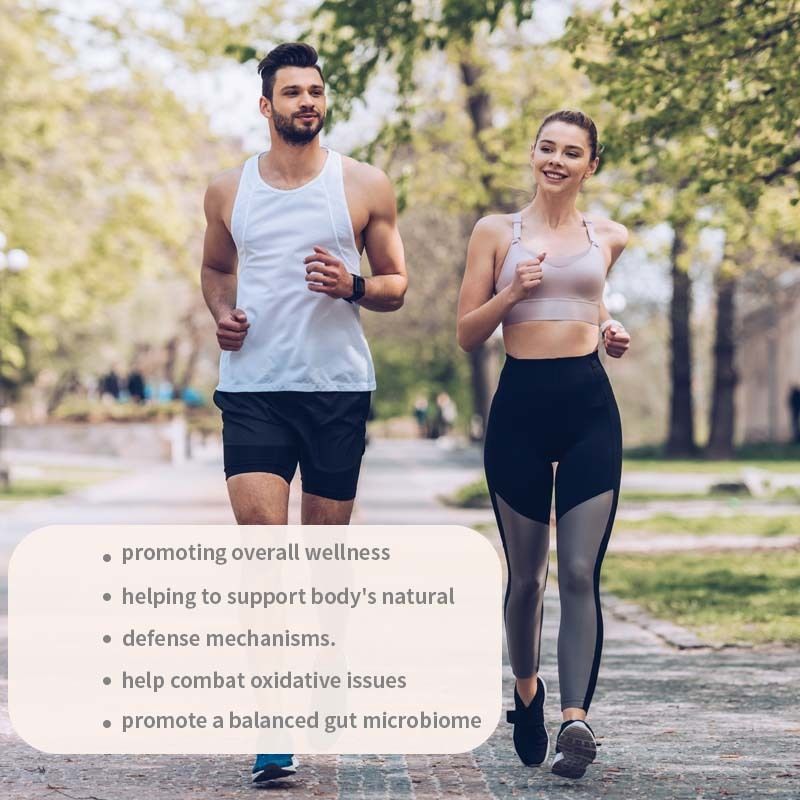 OEM Promouvoir le bien-être général Soutenir les mécanismes de défense naturels du corps Combattre les problèmes oxydatifs Turquie Capsules de queue