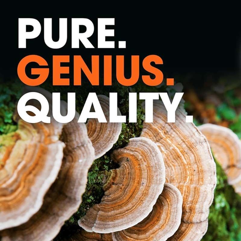 OEM Promouvoir le bien-être général Soutenir les mécanismes de défense naturels du corps Combattre les problèmes oxydatifs Turquie Capsules de queue