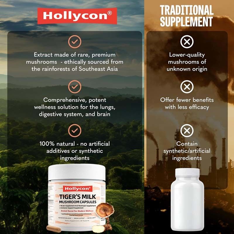 Suppléments de champignons Croissance des cheveux Intestin Cerveau digestif Santé pulmonaire Focus cognitif Respiratoire Lait de tigre Champignons Capsules