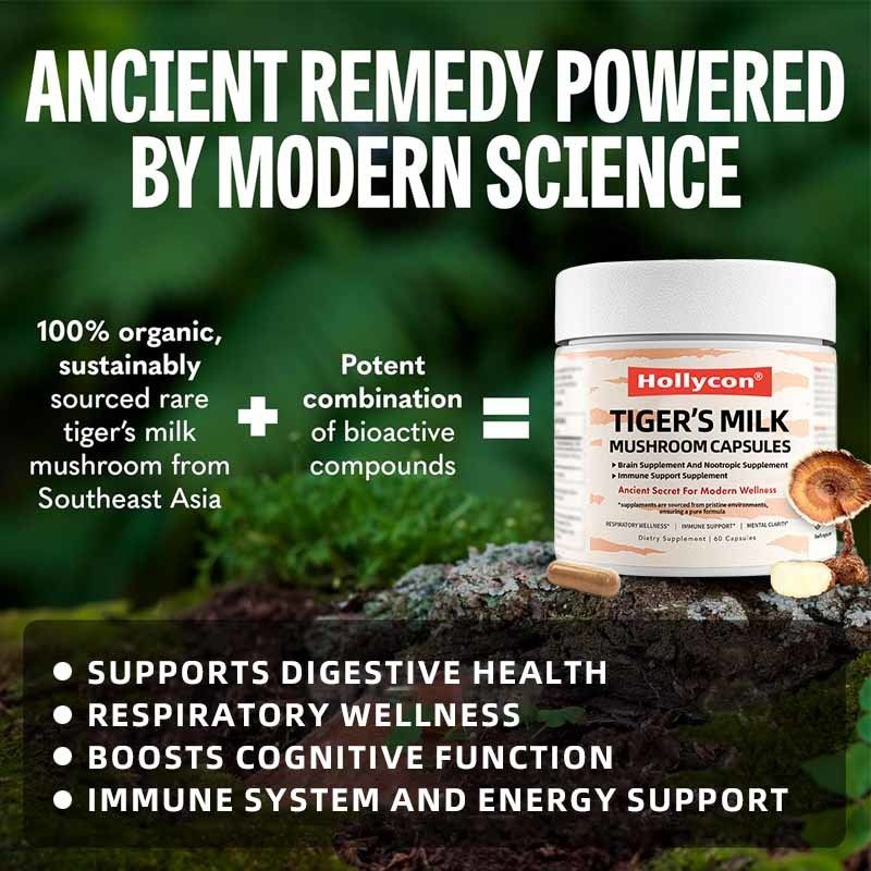 Suppléments de champignons Croissance des cheveux Intestin Cerveau digestif Santé pulmonaire Focus cognitif Respiratoire Lait de tigre Champignons Capsules