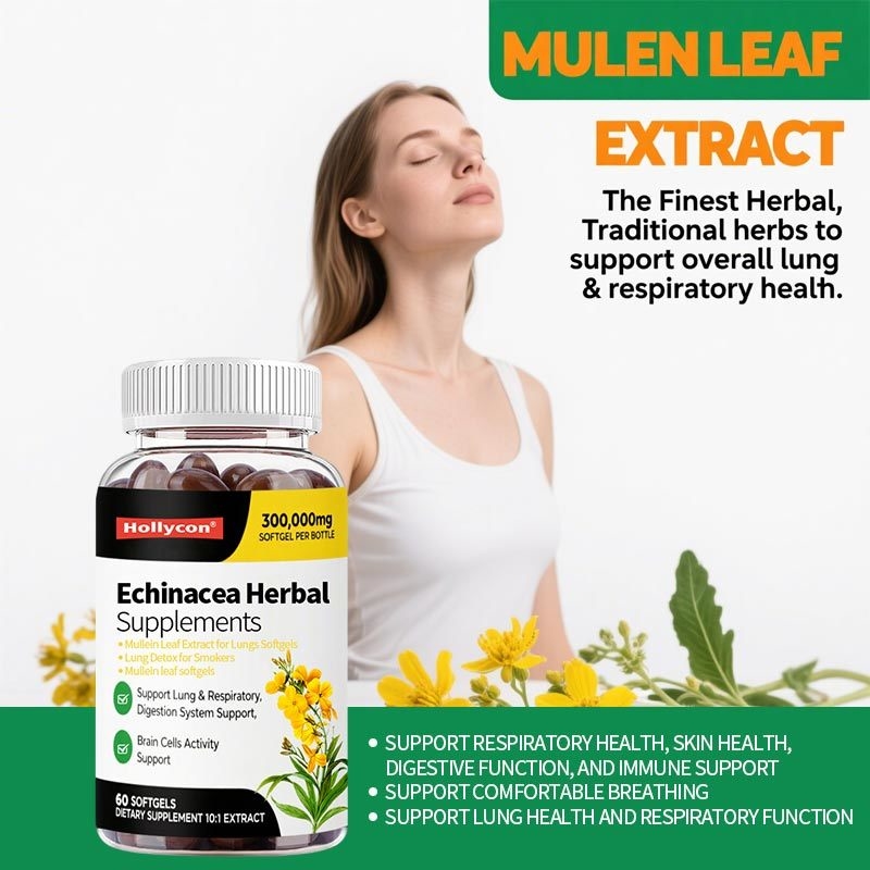Extrait de feuille de molène pour les poumons en gélules, Détox pulmonaire pour fumeurs, Nettoyage pulmonaire pour le soutien respiratoire, Compléments alimentaires à base de plantes, Végétalien, Sans OGM, Soutien immunitaire et digestif, Format 180 gélules, Approvisionnement pour 180 jours