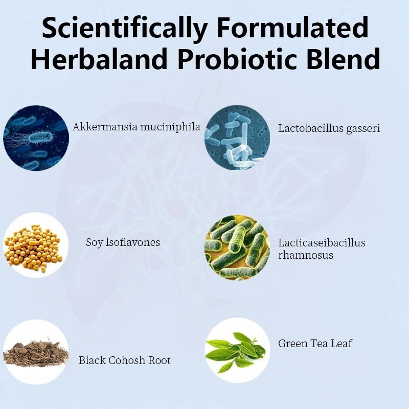 Suppléments probiotiques de ménopause fabriqués en usine OEM / ODM pour femmes - 60 milliards de probiotiques CFU Akkermansia pour l'équilibre hormonal, les sueurs nocturnes, le soulagement des bouffées de chaleur, la santé intestinale, formule personnalisée
