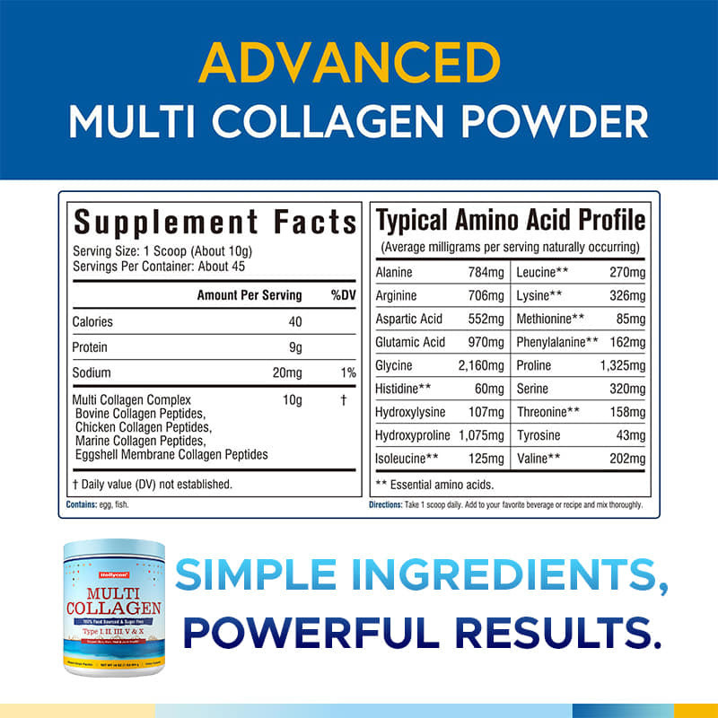 Poudre de peptides de collagène multi-types I II III V X - Complément de collagène hydrolysé 454g - Dose quotidienne personnalisée de 3g