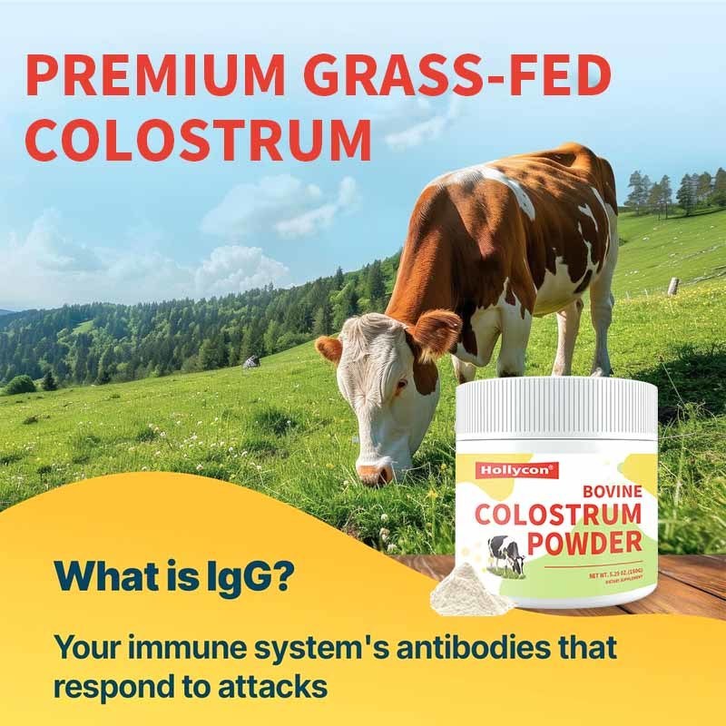 OEM Premium Grass Fed Bovine Colostrum Supplement Powder Gut Hair Growth Beauty Immune 60% IgG 3000 mg Bovine Colostrum Powder