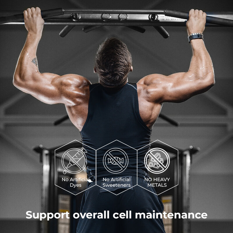 Shilajit Homme Gums Acide Fulvique Supplément sans sucre Maintient des niveaux d'énergie normaux et la fonction immunitaire