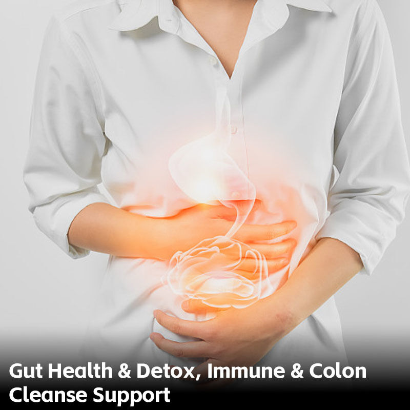 Capsules de L-ergothionéine de haute pureté avec antioxydant naturel pour un soutien alimentaire à long terme