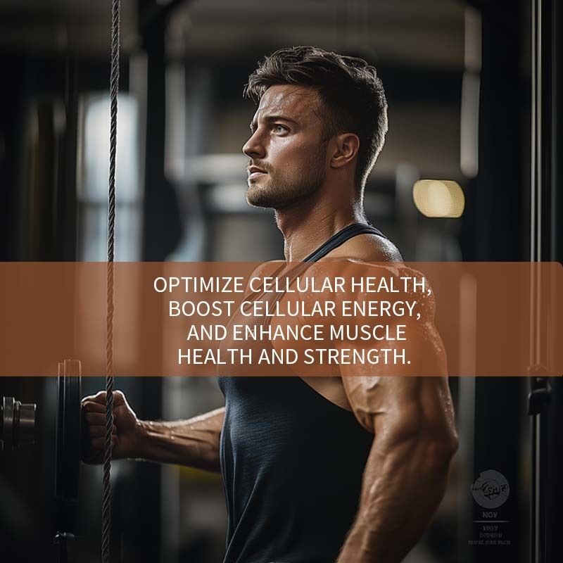 High Purity Urolithin A Soft Capsules | Plant Derived Daily Cellular Nutrient Supplement with Custom Private Label