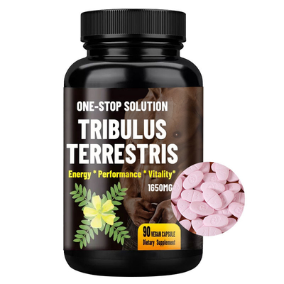 Tablettes de pilules de Terrestris de Tribulus de marque de distributeur pour la santé masculine de prostate d'amélioration