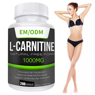 MSDS Suppléments réducteurs de graisse Nutrition Extra Strength L-Carnitine Capsules minceur