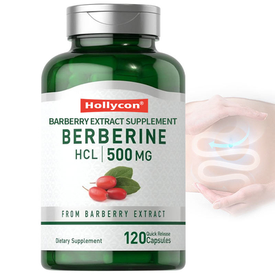 FDA Berberine Capsule 500mg Extrait d'épine-vinette Supplément à base de plantes cardiovasculaire Berberine HCL