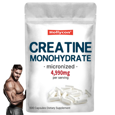 Hollycon Suppléments en capsules de créatine Durée de conservation 2 ans