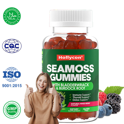 Des gommes de mousse de mer d'Irlande 1000mg Bladderwrack Gommes de mousse de mer pour le soutien digestif
