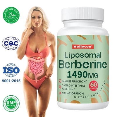 Supplément de berbérine liposomique Gels doux de berbérine liposomique pour le soutien immunitaire