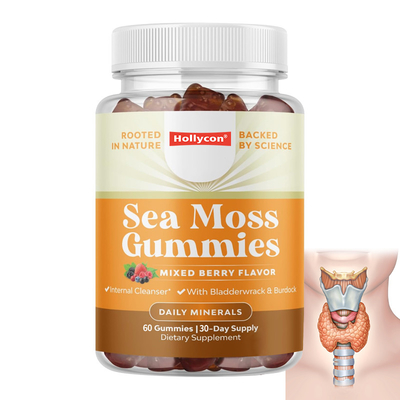 Fournisseur de gommes de mousse de mer pour les adultes et les enfants