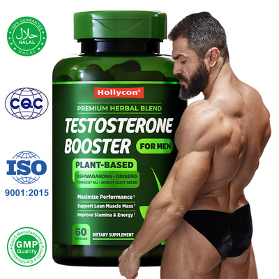 Fabricant Testo Booster Supplément de renforcement musculaire Renforcer la force énergétique