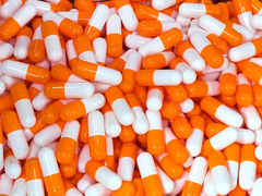 Capsules de hollycon